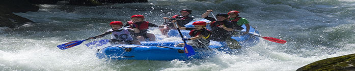 Beratungsansatz - Mission