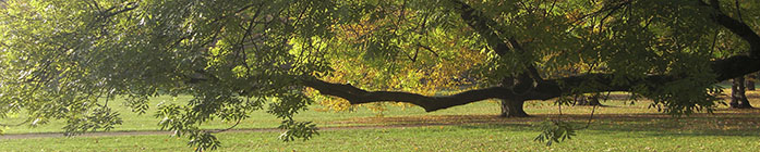 Kernkompetenzen - Beratungsprozess